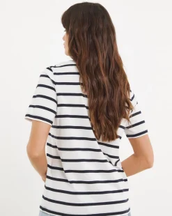 3 Pack V Neck T-shirt