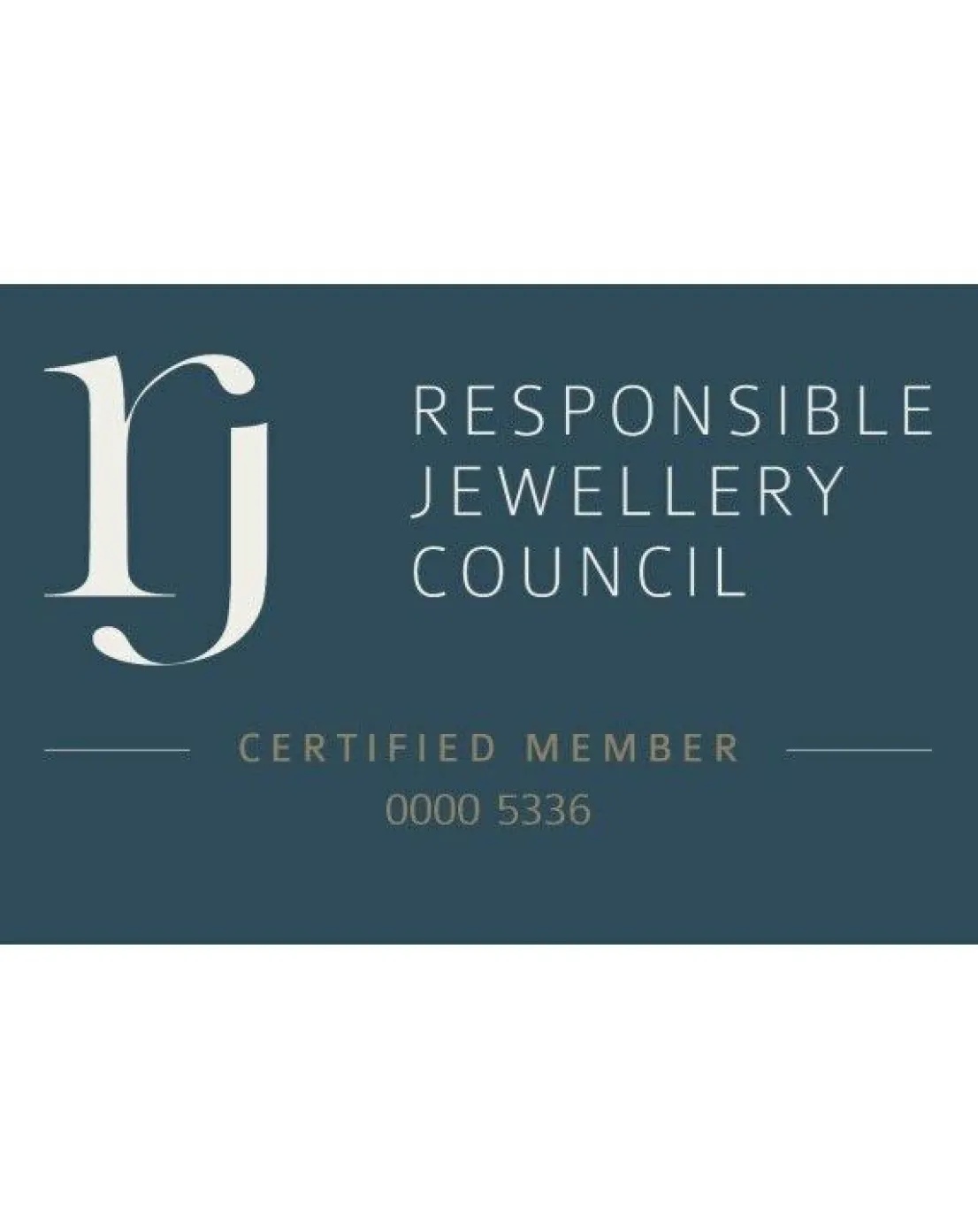 9ct Gold 11 Stone Moissanite Shaped Eternity Ring