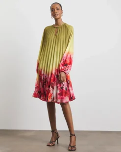 Joanna Hope Ombre Pleated Shift Dress
