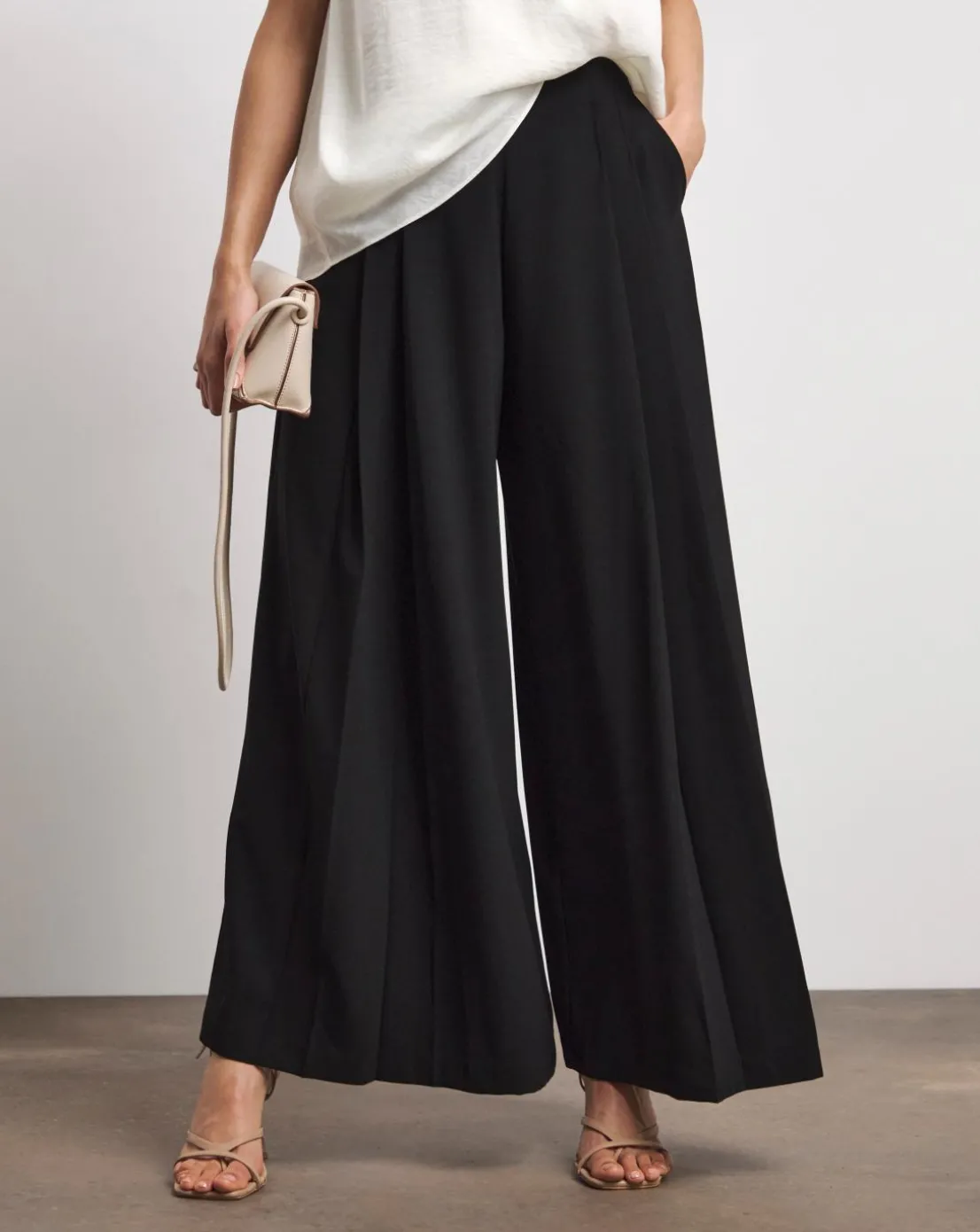 Joanna Hope Pleated Wide Leg Trousers