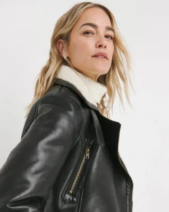 Joe Browns Must Have Aviator