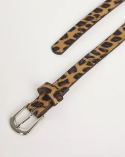 Multi 3 Pack Belts