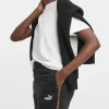 PUMA Essentials Graphic Animal 5 Shorts