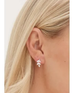 Simply Silver Sterling Silver 925 Cubic Zirconia Leaf Stud Earrings